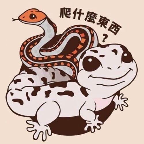 爬什麼東西